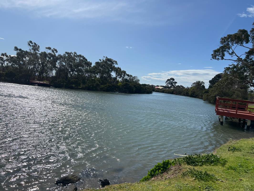 walking near me in Picnic Park in spring
