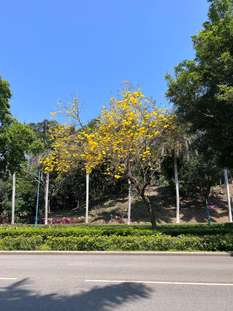 walking near me in Inspiration Lake Recreation Centre in winter