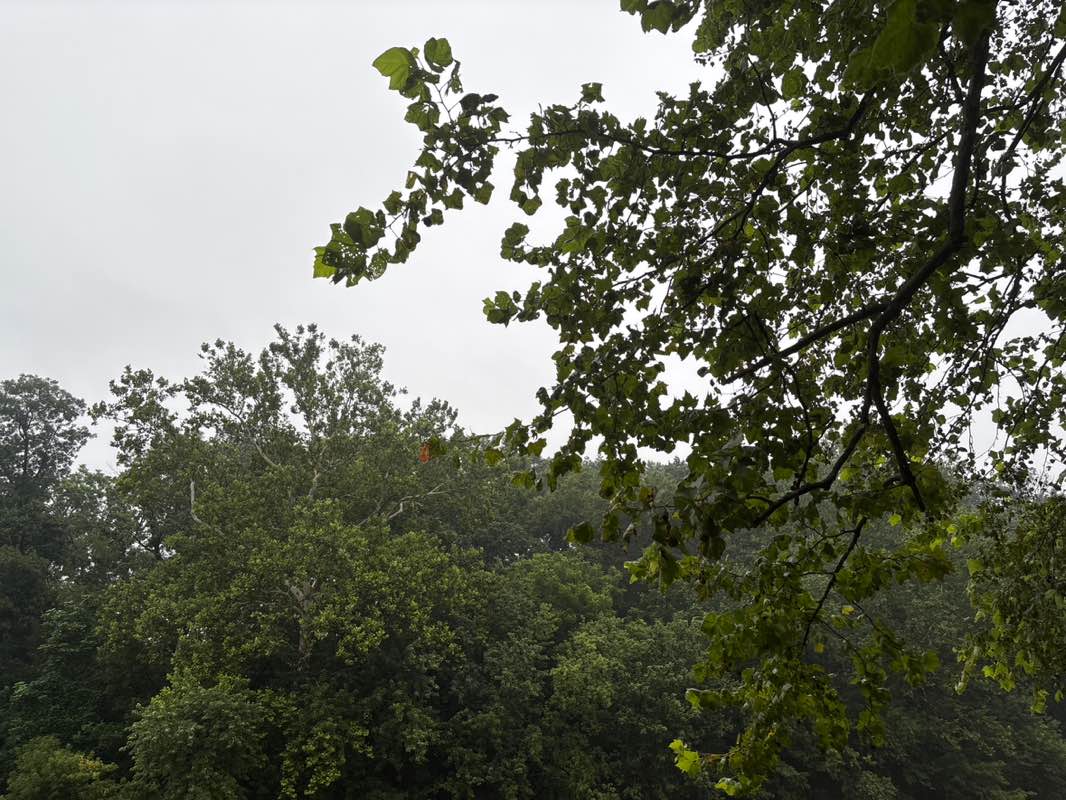 walking near me in Perelman Park in autumn