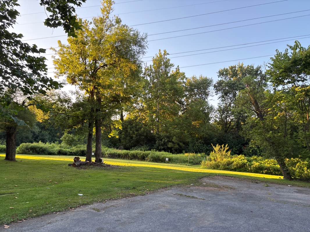 walking near me in Conestoga Pines Park in autumn