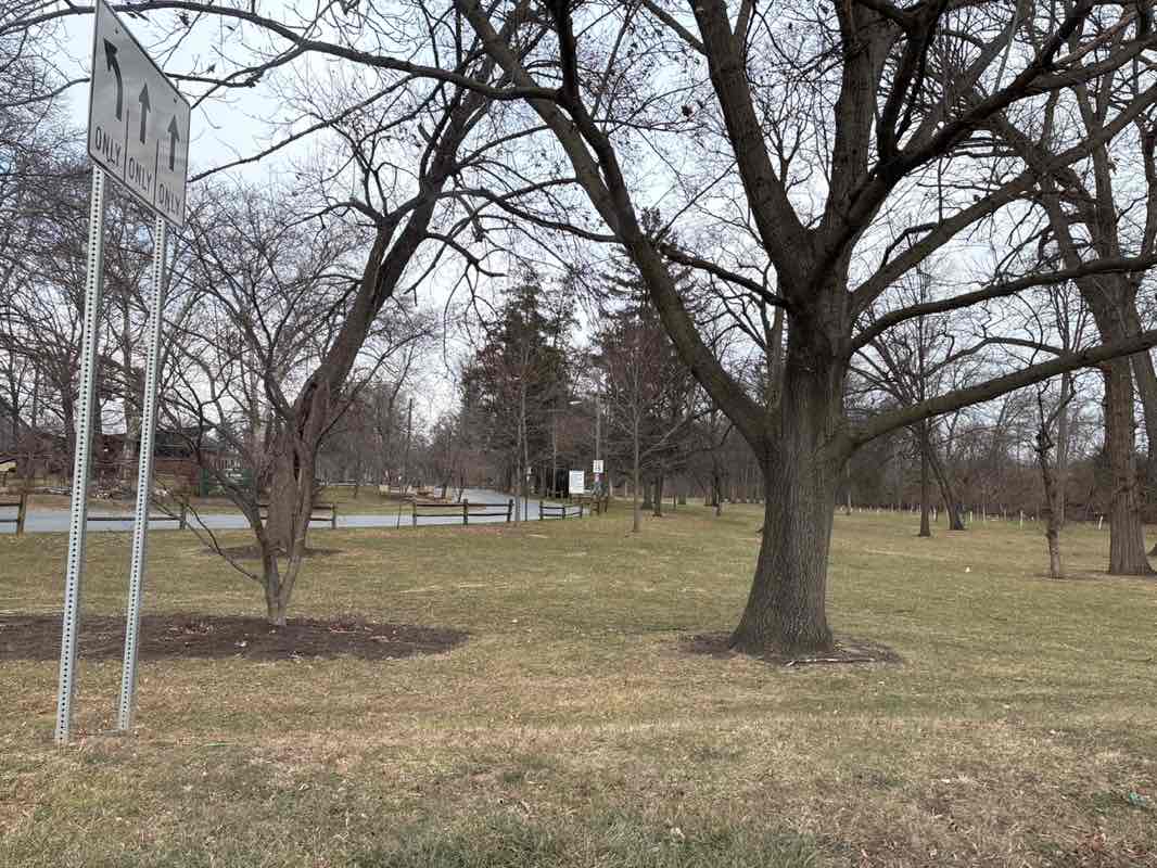 walking near me in Long's Park in winter