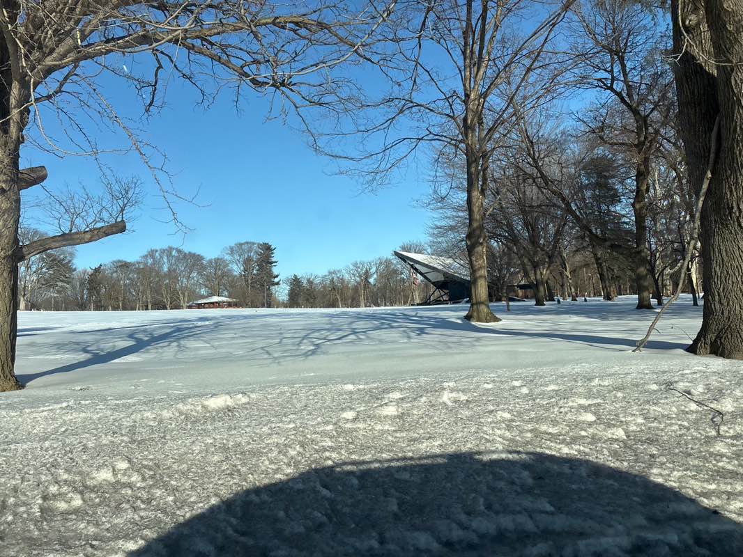 walking near me in Long's Park in winter