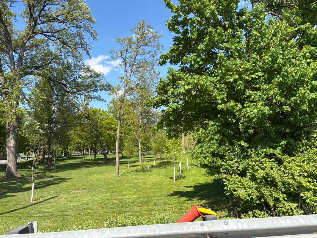 walking near me in Long's Park in spring