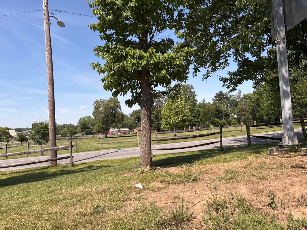 walking near me in Long's Park in summer