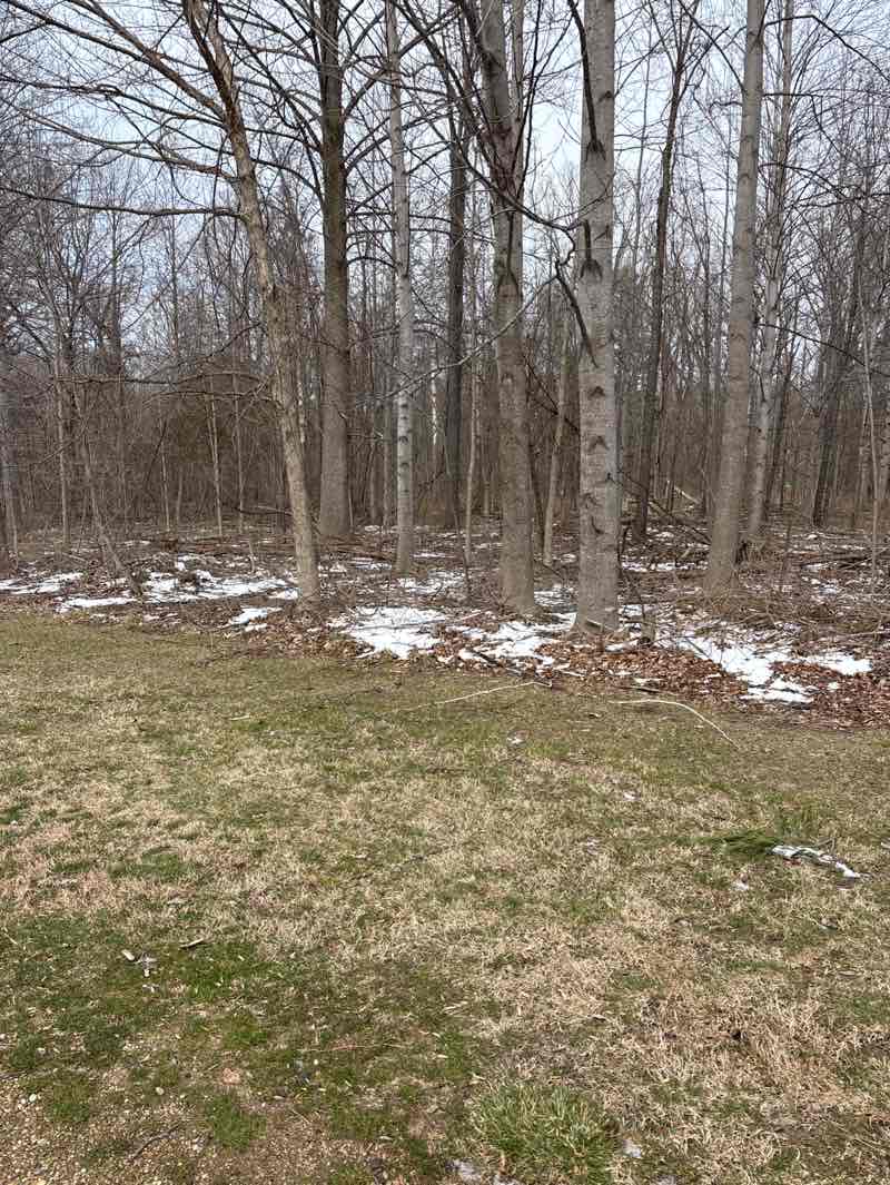 walking near me in Warren Dunes State Park in spring