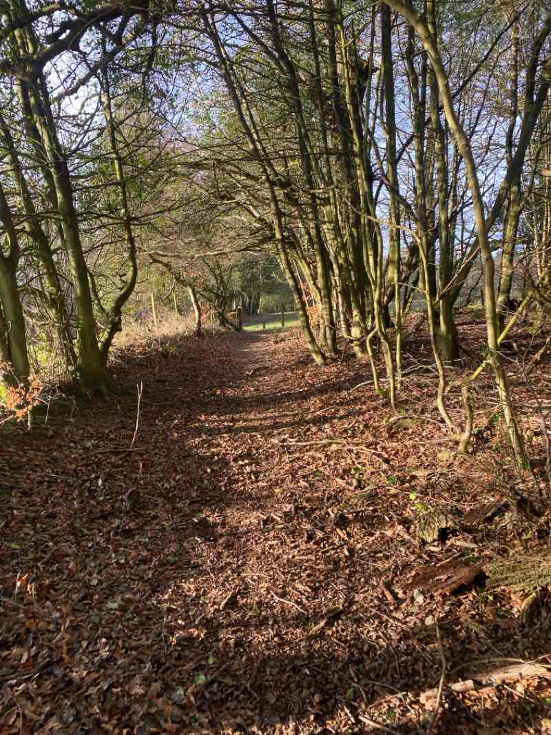 walking near me in Westerly Ware in winter