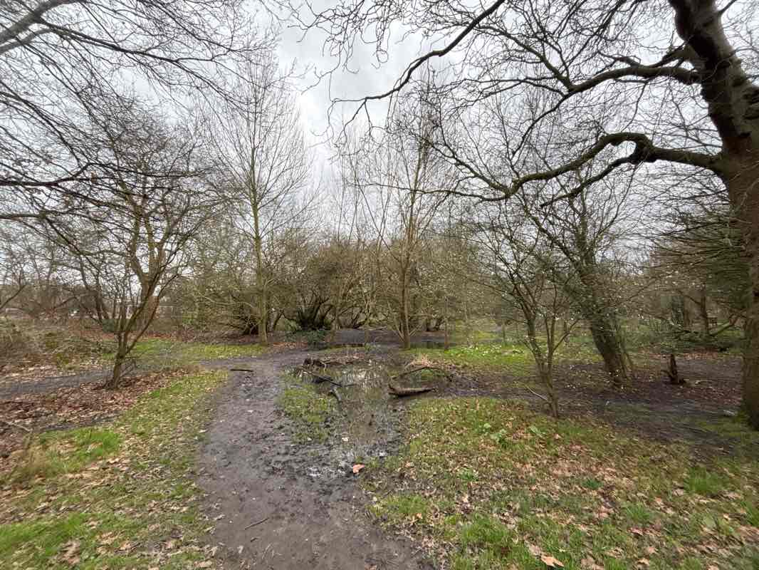 walking near me in Clapham Common in winter