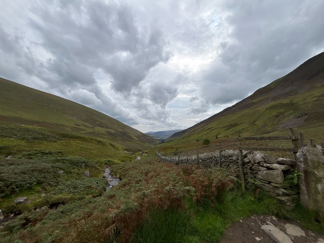 walking near me in Upper Fitz Park in autumn