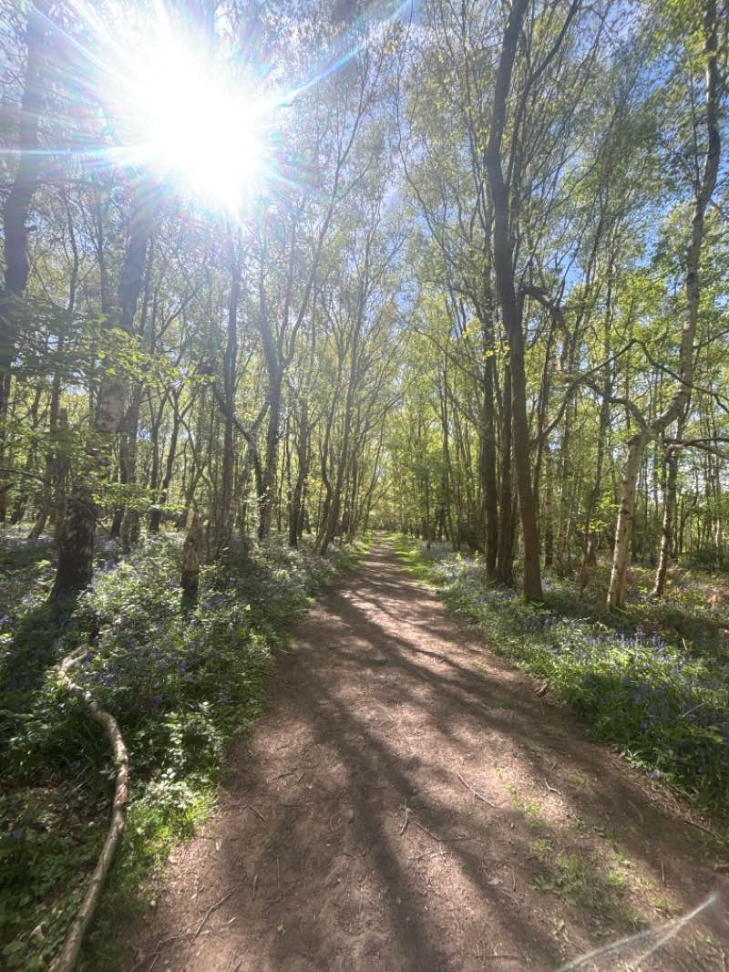 walking near me in Beaverbrook in spring
