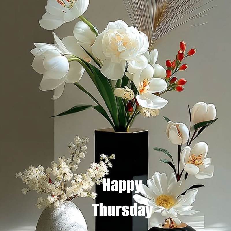 🍓FUN IN THE SUN 🍓 PacerGal_1957 post image