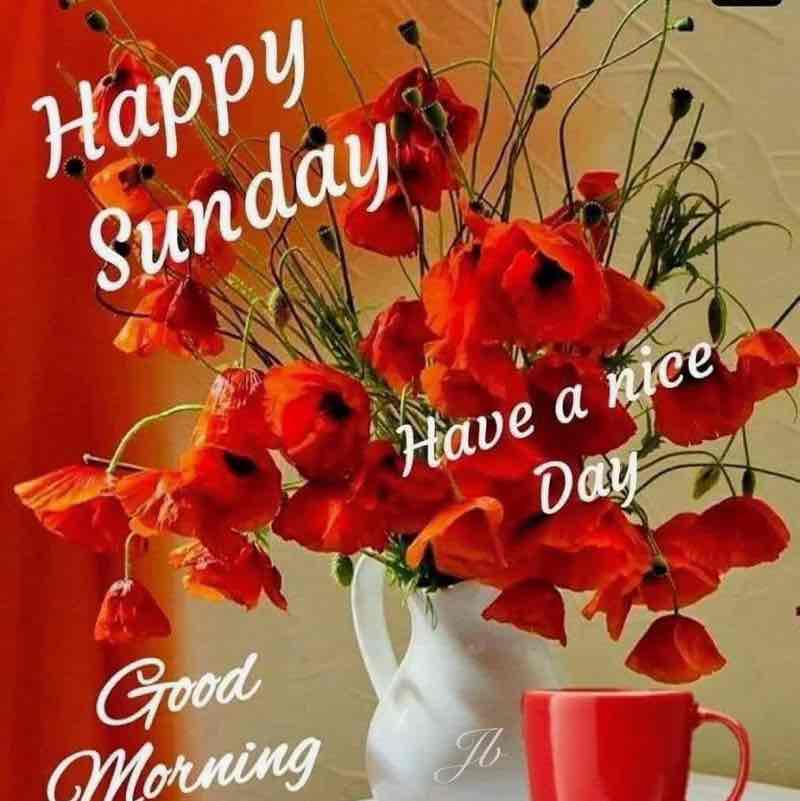 Step by Step 🏃‍♀️🏃🏼 PacerGal_1957 post image