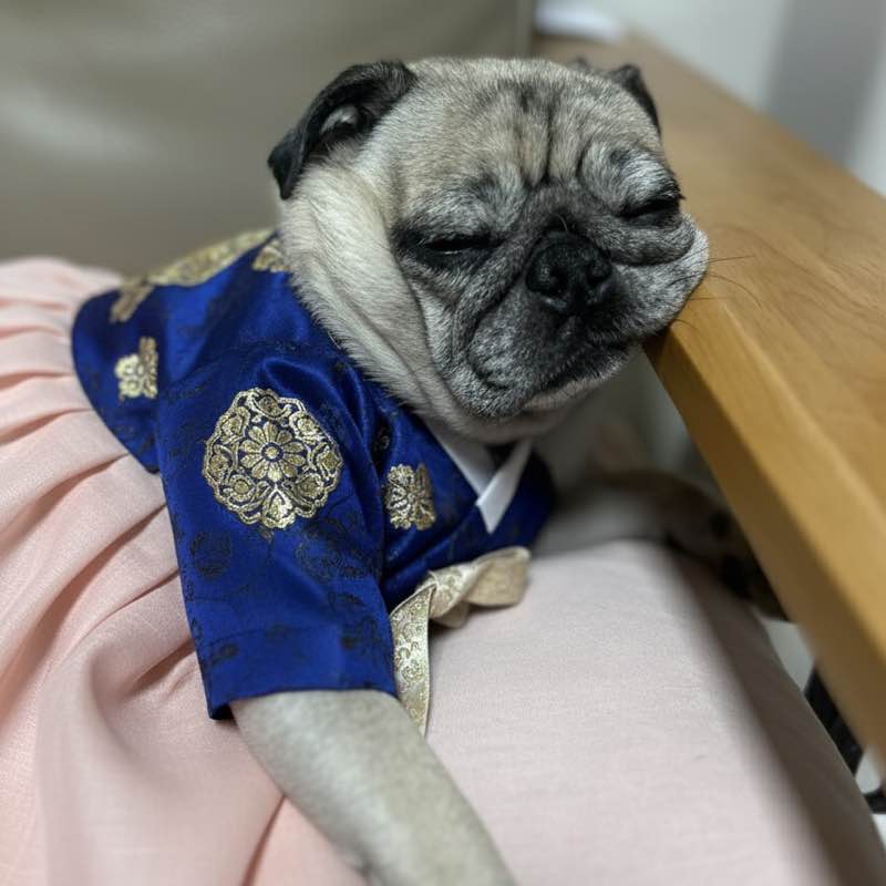 Walkingholic Spencer🇰🇷 post image