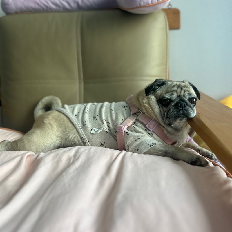 Walkingholic Spencer🇰🇷 post image