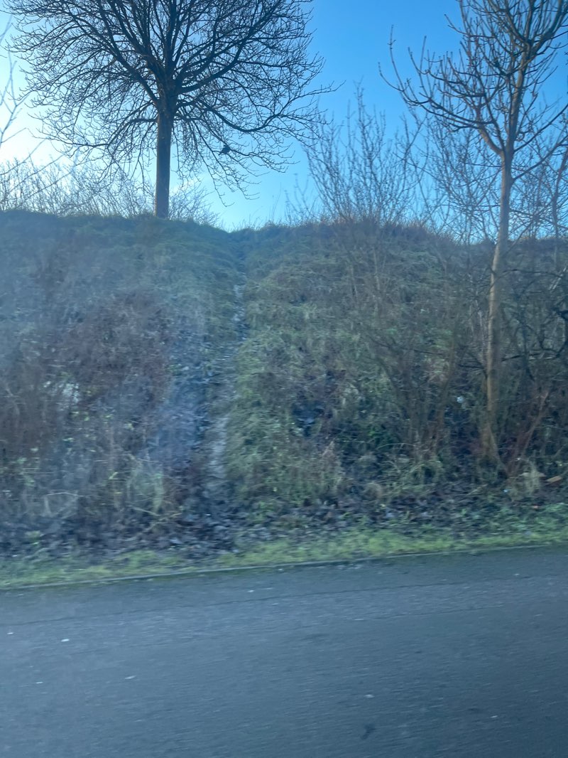 walking near me in Dallow Downs in winter