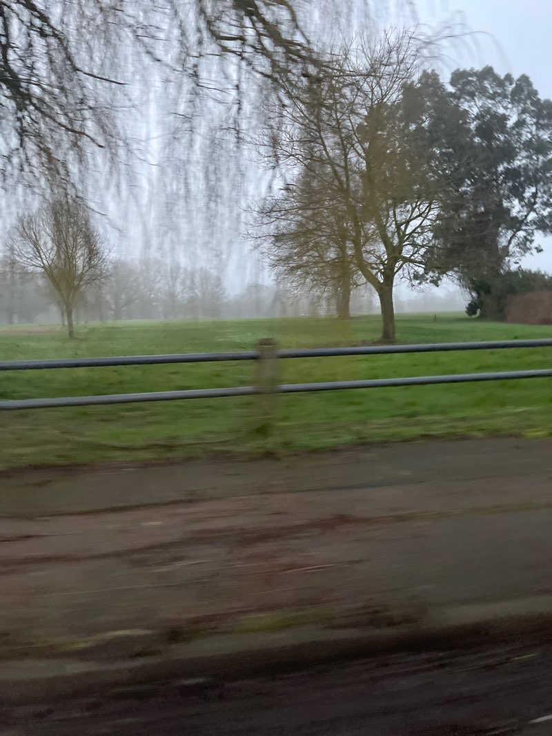 walking near me in Stockwood Park in winter
