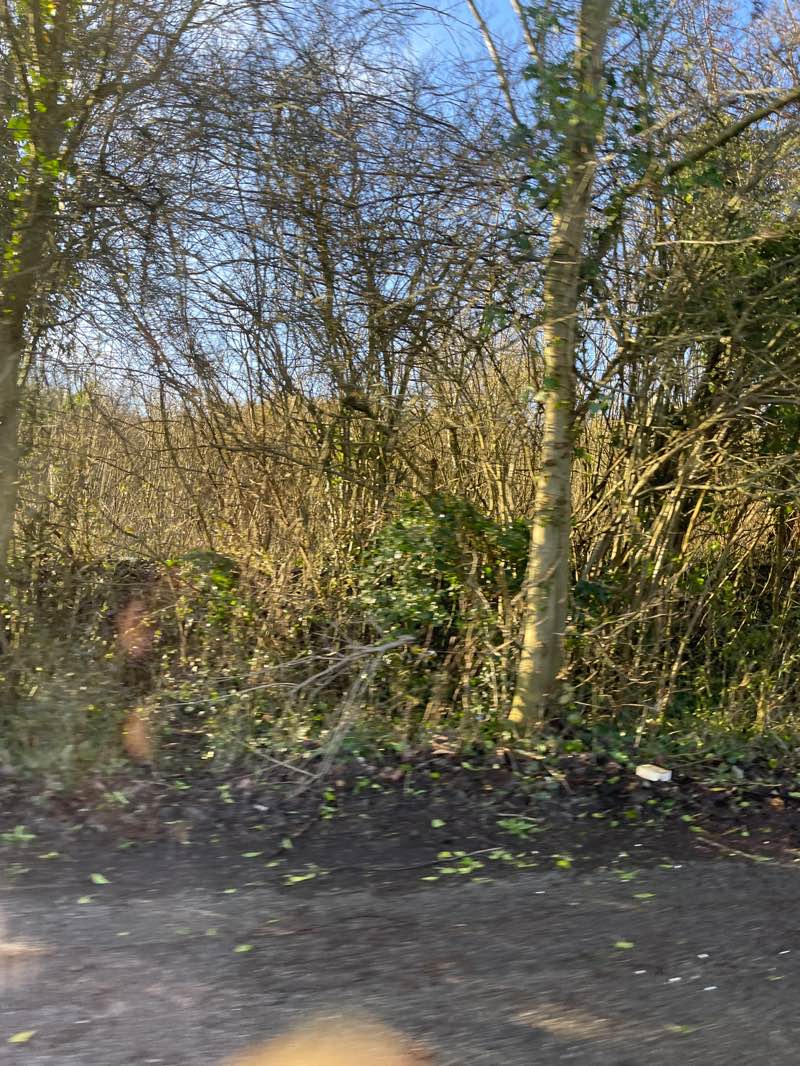 walking near me in Dallow Downs in winter