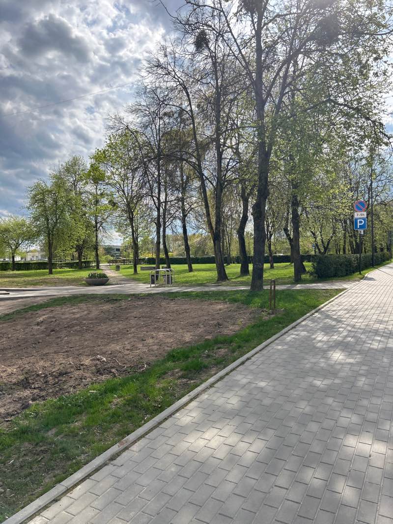 walking near me in Gričiupio parkas in spring