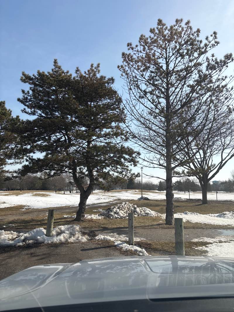 walking near me in Bicentennial Park in winter