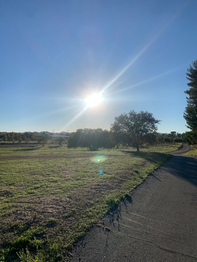 walking near me in Robertson Park in autumn