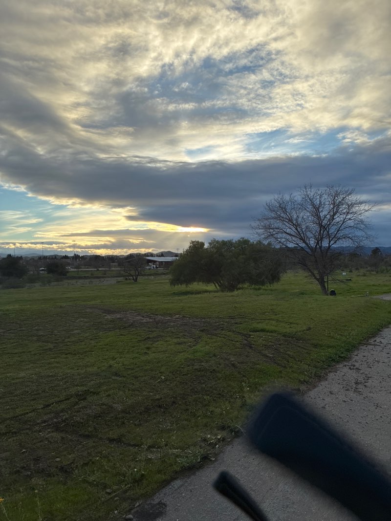 walking near me in Robertson Park in winter