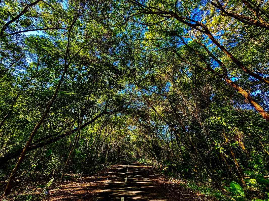 walking near me in Kota Kinabalu City Park in winter