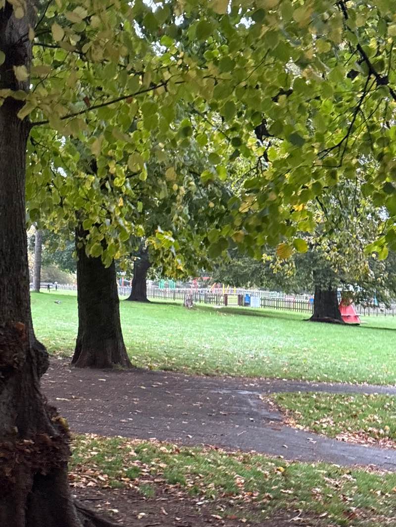 walking near me in Ashcombe Park in autumn