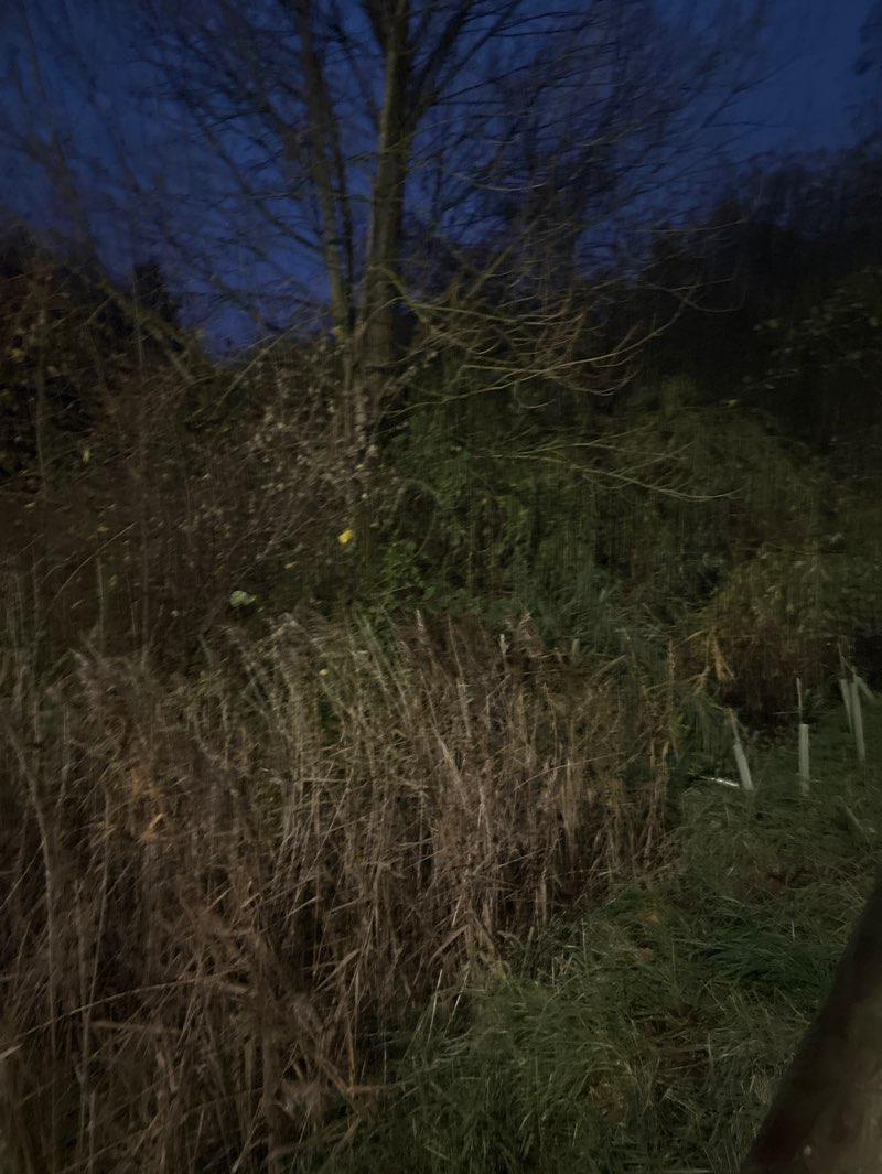 walking near me in West Park in autumn