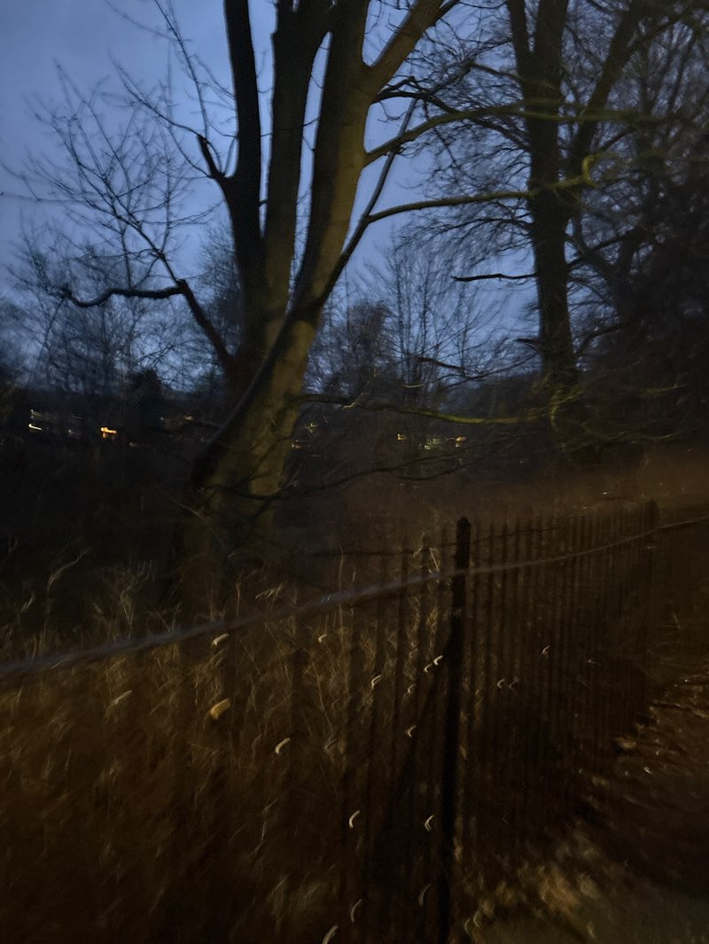 walking near me in Denes in winter