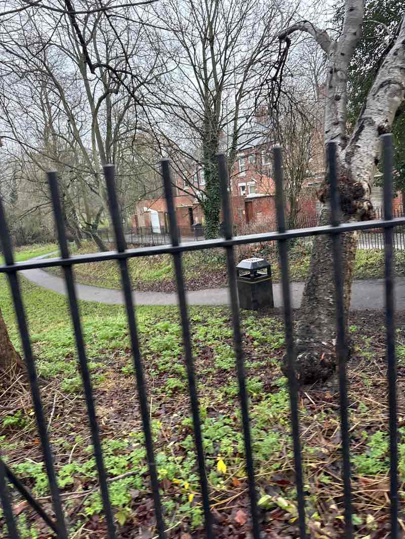 walking near me in Denes in winter