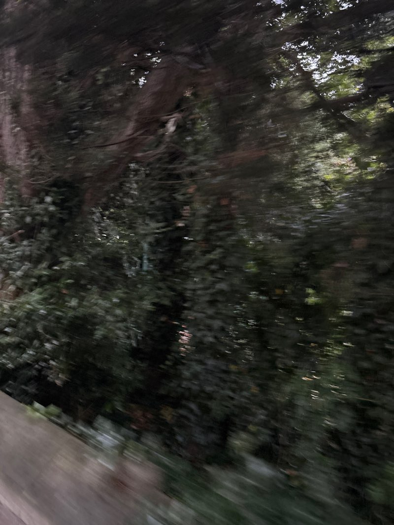 walking near me in Grove park in autumn