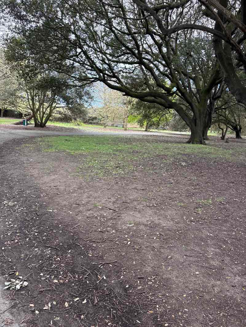 walking near me in Clarence Park in spring