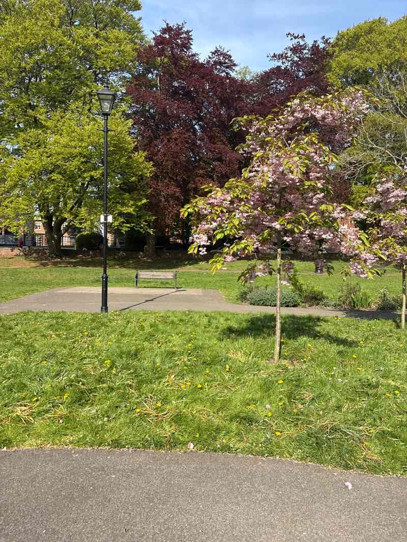 walking near me in Stanhope Park in spring