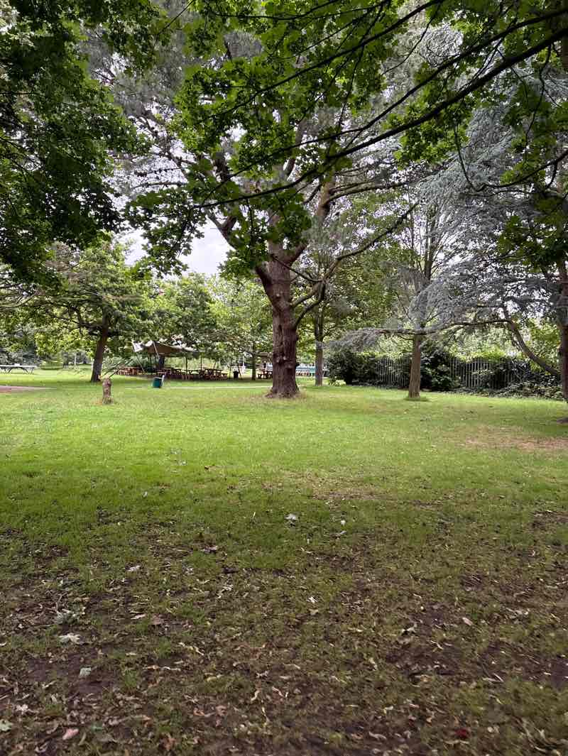 walking near me in Clarence Park in summer