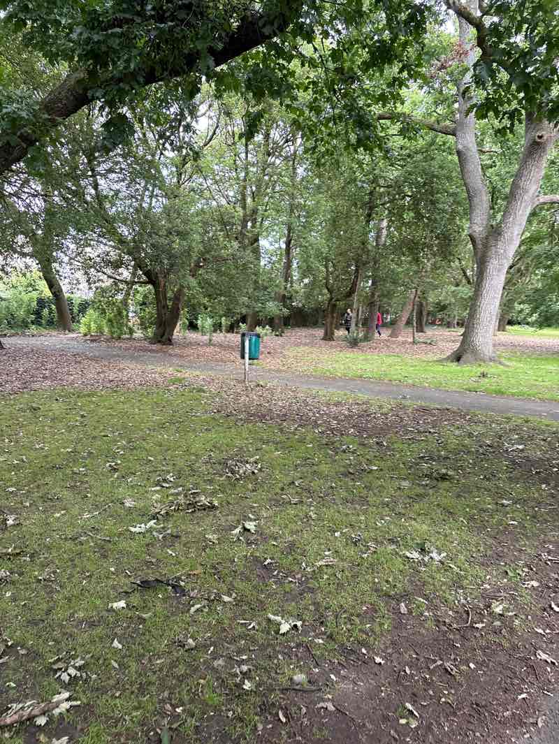 walking near me in Clarence Park in summer