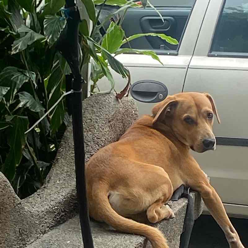 𝖕𝖕𝖈𝖆𝖒𝖆𝖈𝖍𝖔 post 1