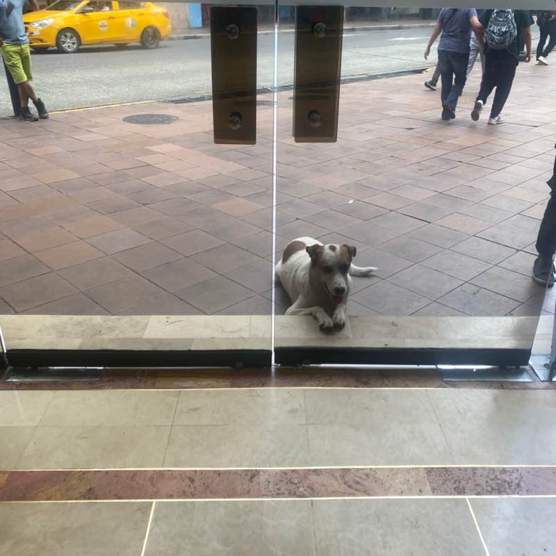 𝖕𝖕𝖈𝖆𝖒𝖆𝖈𝖍𝖔 post 1