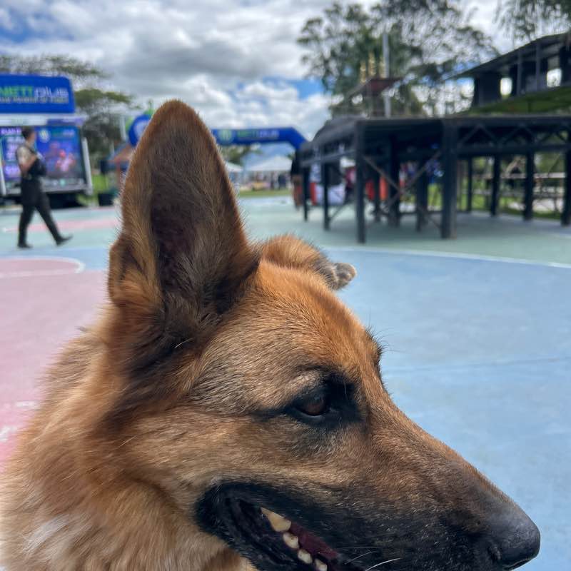 𝖕𝖕𝖈𝖆𝖒𝖆𝖈𝖍𝖔 post 2