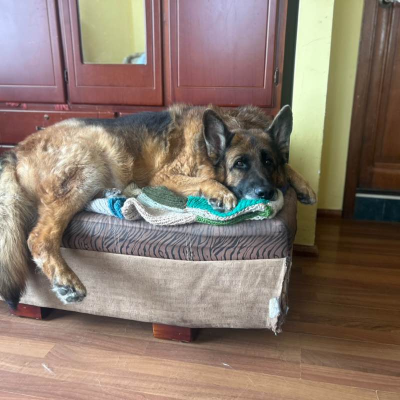 𝖕𝖕𝖈𝖆𝖒𝖆𝖈𝖍𝖔 post 3