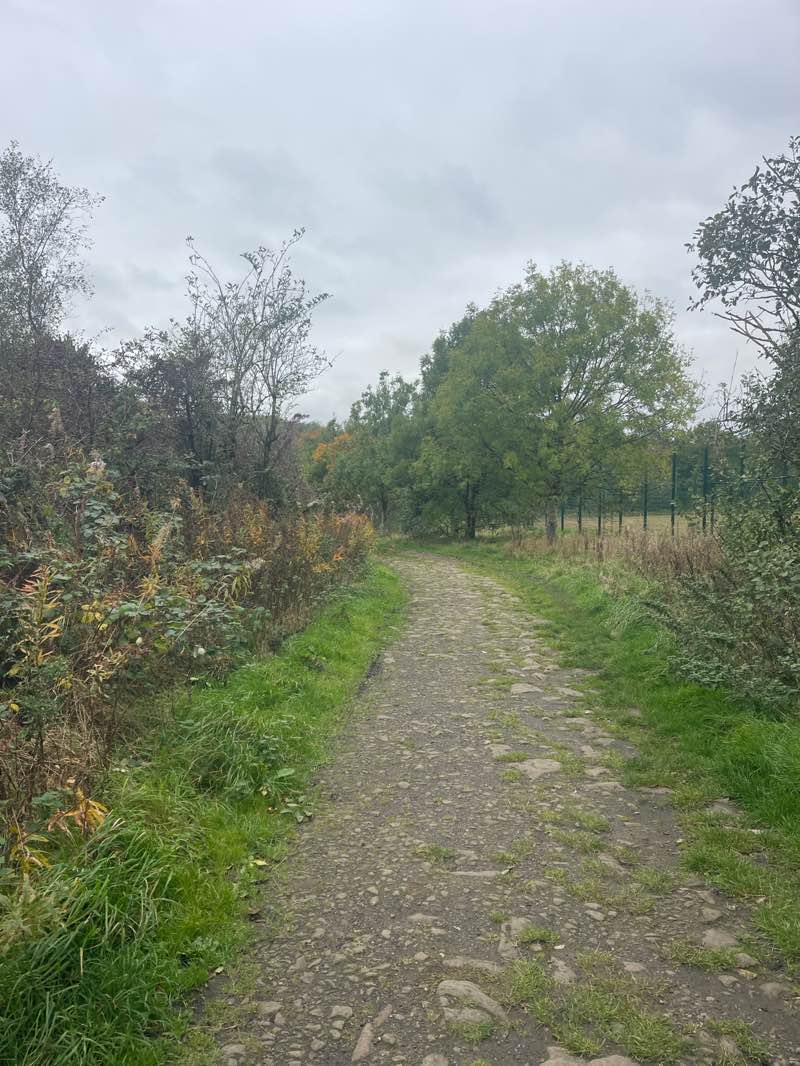 walking near me in King George V Playing Fields in autumn