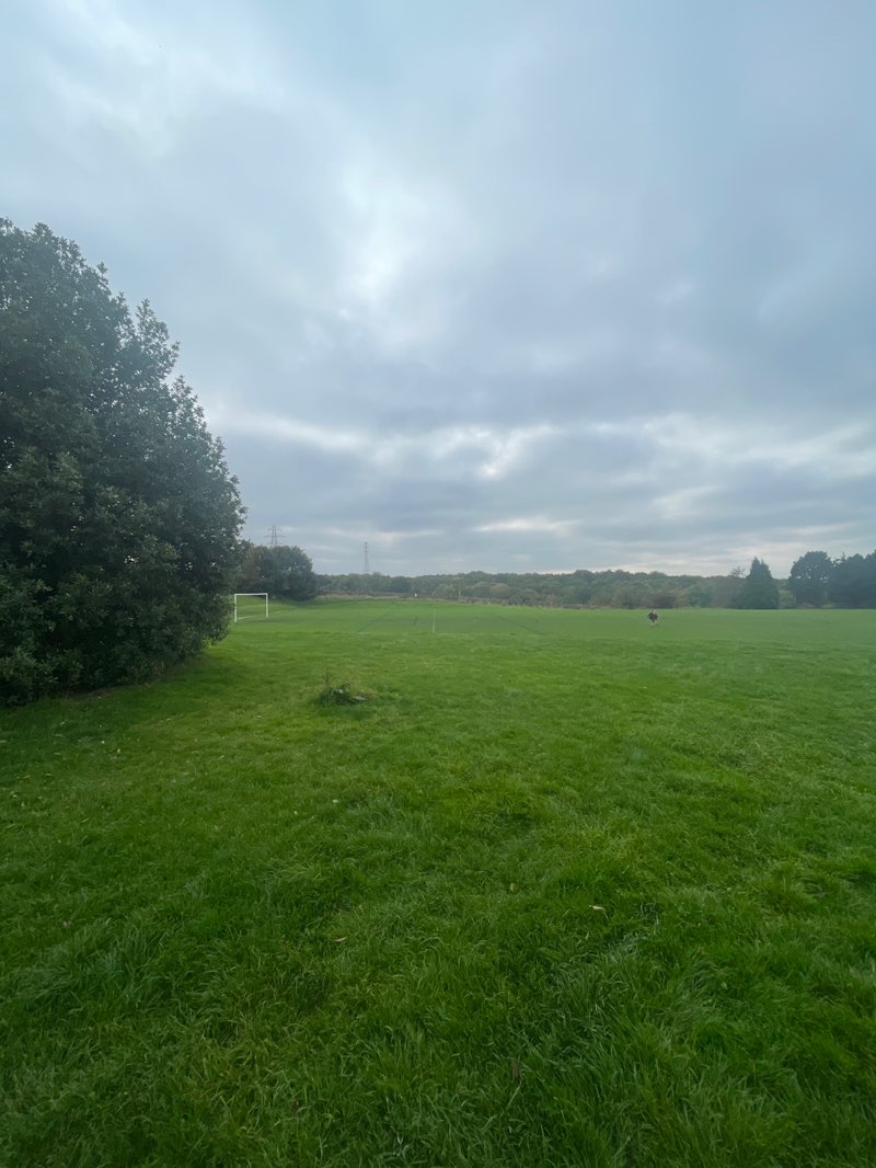 walking near me in Hapton recreation ground in autumn