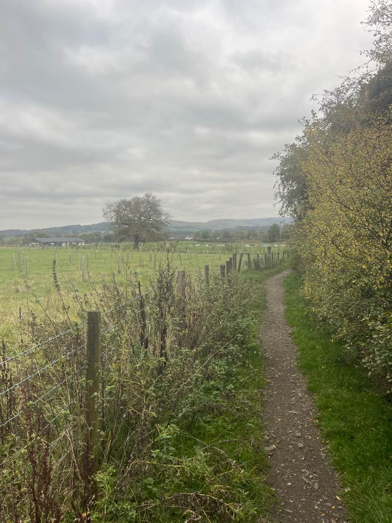 walking near me in Great Harwood Community Space. in autumn