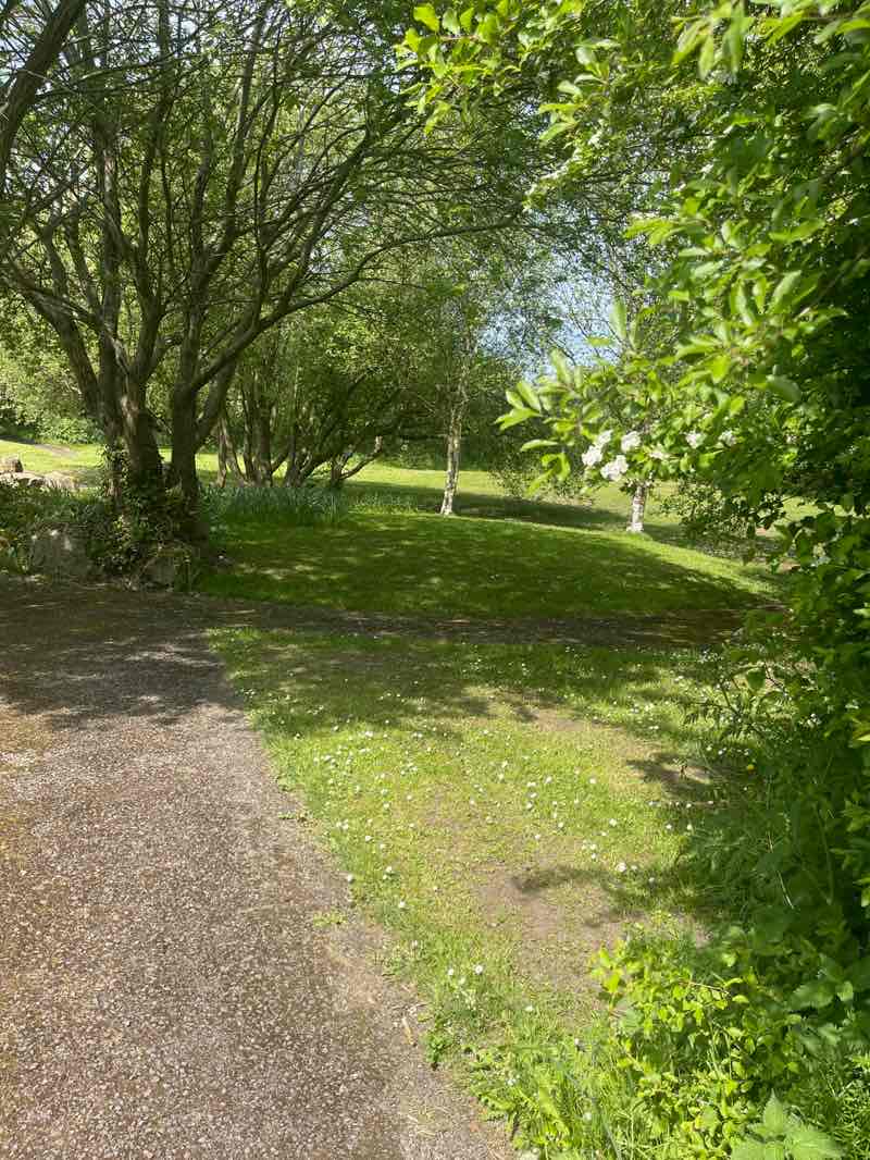 walking near me in Phyllis Moss Gardens in spring