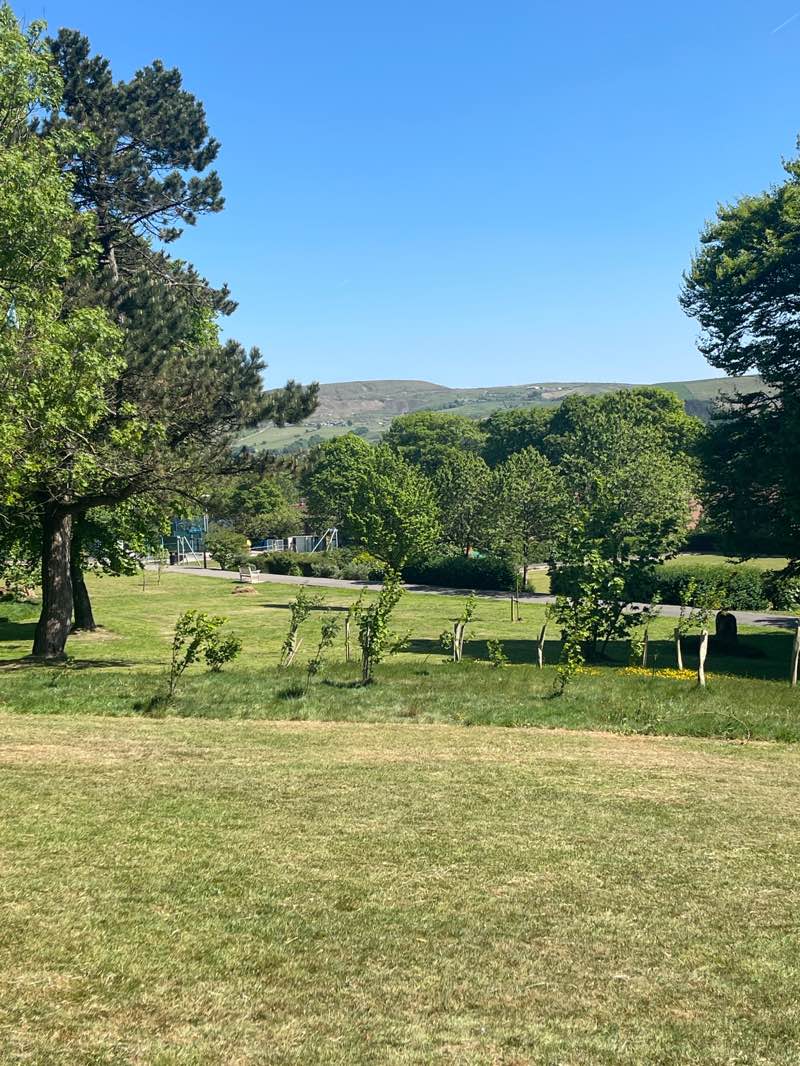 walking near me in Victoria Park in spring