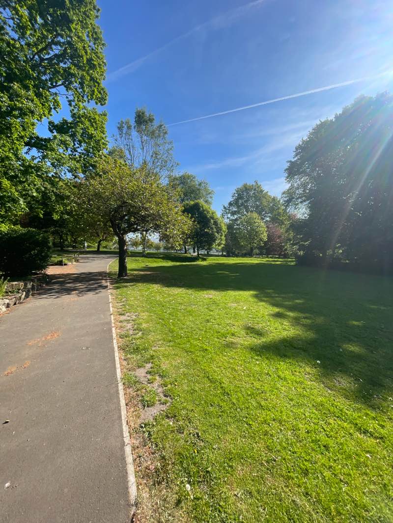 walking near me in Memorial Park in spring