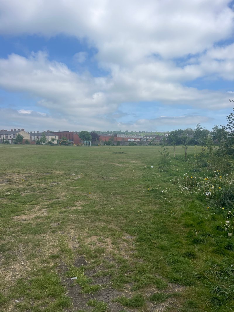 walking near me in Stock Park in spring