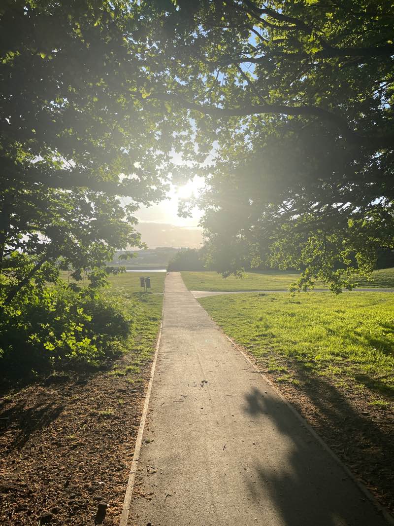 walking near me in Cutwood Park in spring