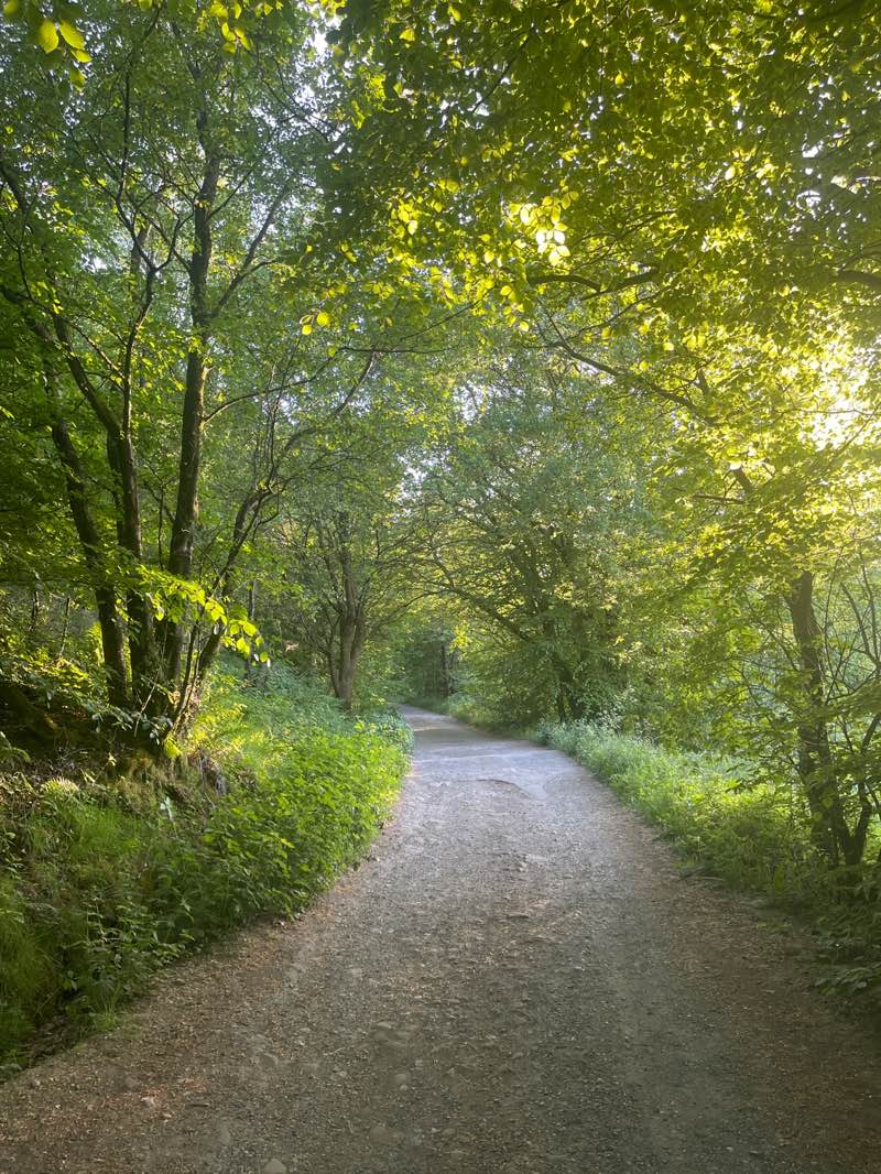 walking near me in Bold Venture Park (Upper Section) in spring