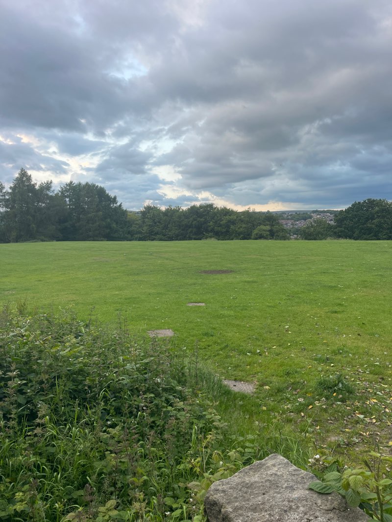 walking near me in Top Field in summer