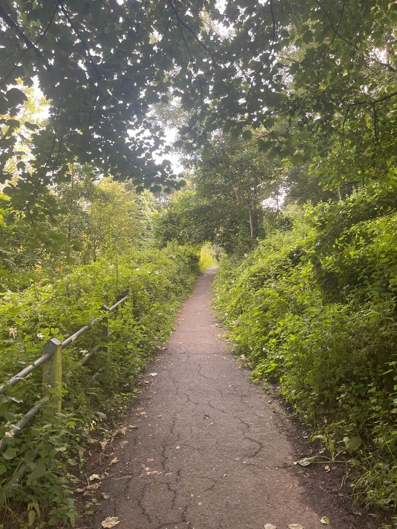 walking near me in Grimsargh Village Green in summer