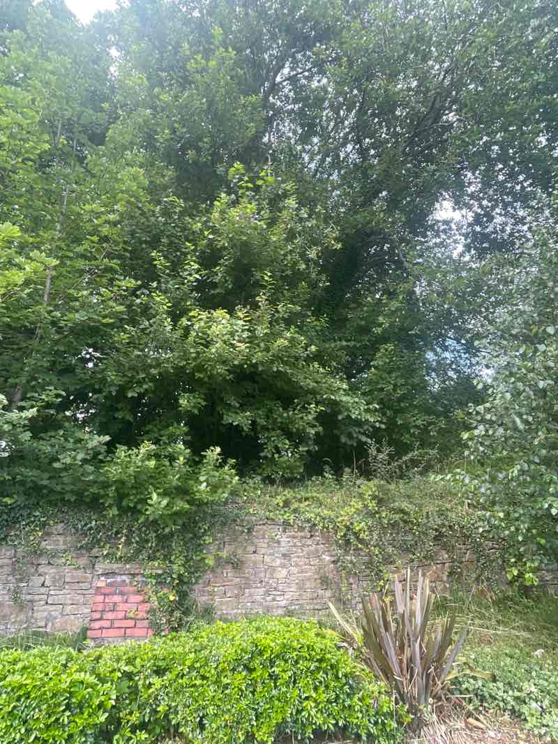 walking near me in Milnshaw Park in summer